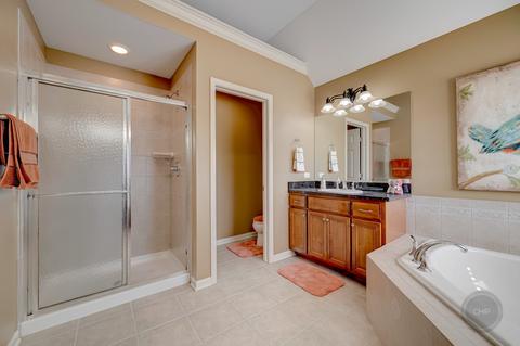 24445 Brooklands Ln, Plainfield, IL 60585 photo 29