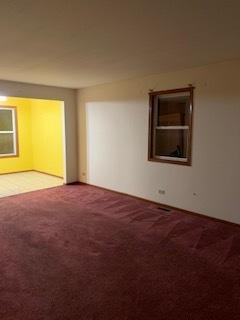 1324 S 3rd Ave, Kankakee, IL 60901 photo 6