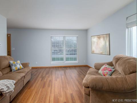 20922 W Bloomfield Dr, Plainfield, IL 60544 photo 17
