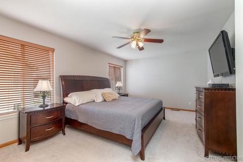 20922 W Bloomfield Dr, Plainfield, IL 60544 photo 11