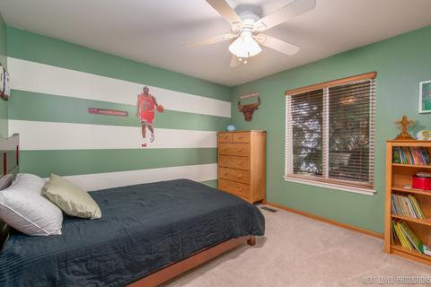 20922 W Bloomfield Dr, Plainfield, IL 60544 photo 19