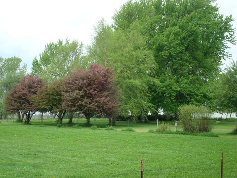 1069 S Malta Rd, Malta, IL 60150 photo 61