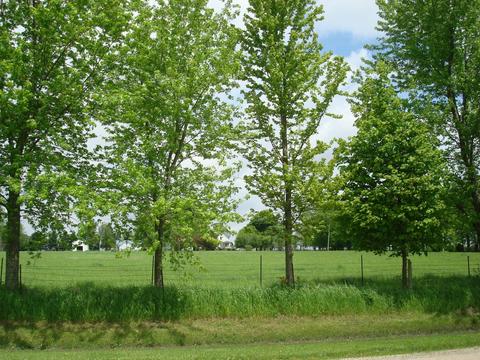 1069 S Malta Rd, Malta, IL 60150 photo 60