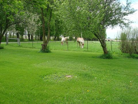 1069 S Malta Rd, Malta, IL 60150 photo 56