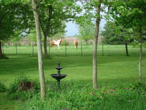 1069 S Malta Rd, Malta, IL 60150 photo 57