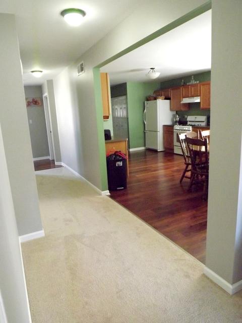 1422 Trailside Dr, Beecher, IL 60401 photo 13