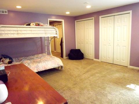 1422 Trailside Dr, Beecher, IL 60401 photo 28