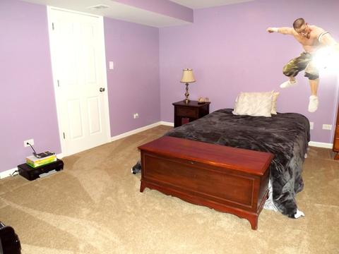 1422 Trailside Dr, Beecher, IL 60401 photo 30