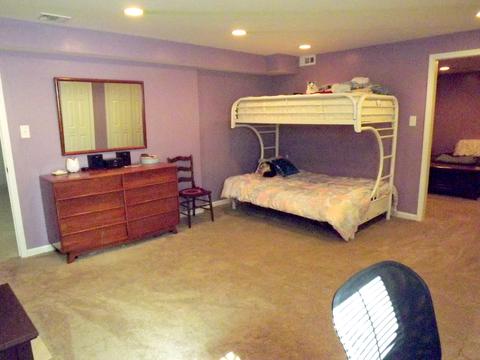 1422 Trailside Dr, Beecher, IL 60401 photo 29
