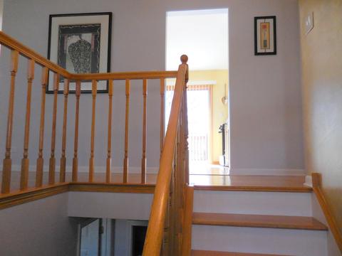 1215 Freeman Rd, Hoffman Estates, IL 60192 photo 4