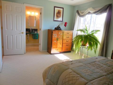 1215 Freeman Rd, Hoffman Estates, IL 60192 photo 23