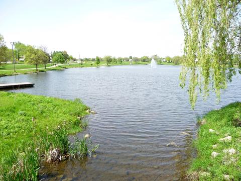 1215 Freeman Rd, Hoffman Estates, IL 60192 photo 56