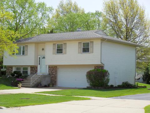 1215 Freeman Rd, Hoffman Estates, IL 60192 photo 1