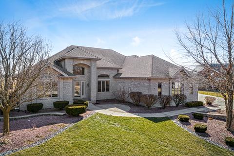 7307 Sheffield Ct, Monee, IL 60449 photo 1
