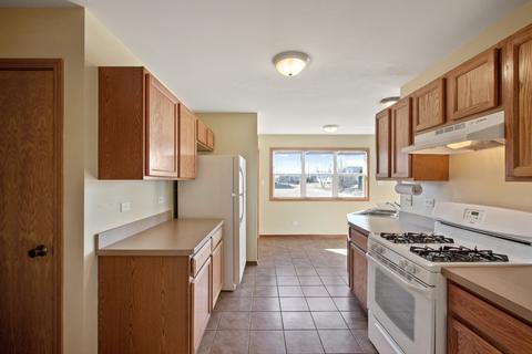 1391 Rolling Pass, Beecher, IL 60401 photo 6