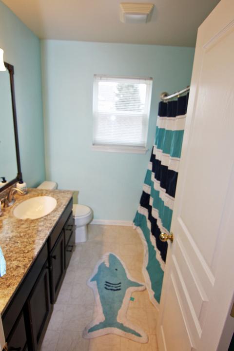 5 Hithergreen Ct, Algonquin, IL 60102 photo 21