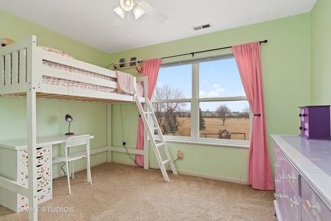 2884 Rourke Dr, Aurora, IL 60503 photo 21