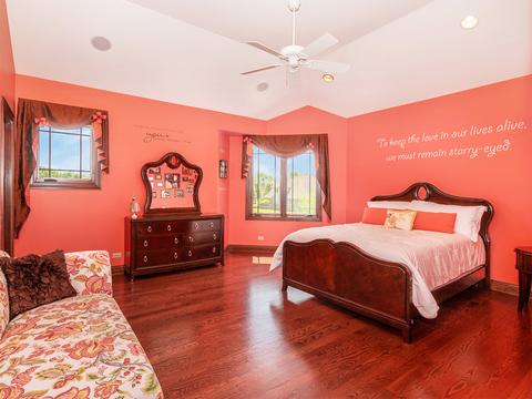 24849 Barolo Dr, Plainfield, IL 60586 photo 33