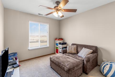 14031 Emerald Ct, Plainfield, IL 60544 photo 10