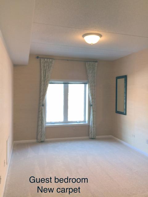1277 E Thacker St #207, Des Plaines, IL 60016 photo 14