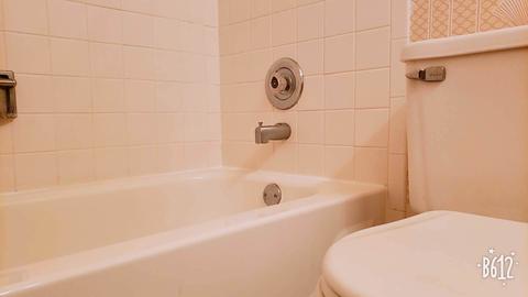 1602 Queens Ct #C-1, Wheeling, IL 60090 photo 16