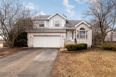 1701 Wildflower Dr, Plainfield, IL 60586 photo 3