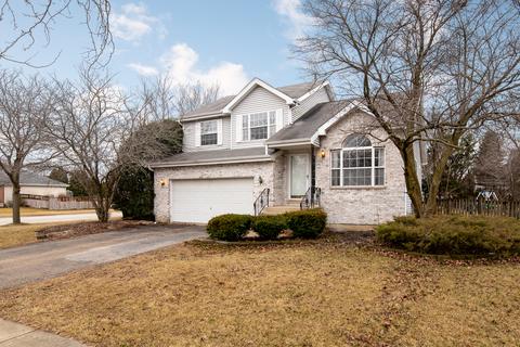 1701 Wildflower Dr, Plainfield, IL 60586 photo 2