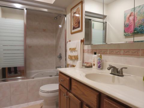 921 Sycamore Ln, Bartlett, IL 60103 photo 11