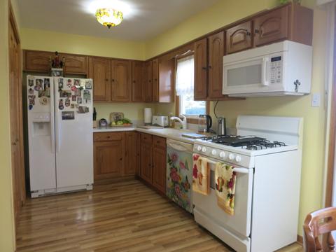 921 Sycamore Ln, Bartlett, IL 60103 photo 4