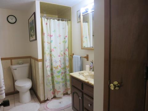 921 Sycamore Ln, Bartlett, IL 60103 photo 10