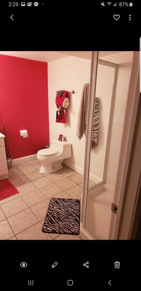 821 Tallgrass Dr, Bartlett, IL 60103 photo 26