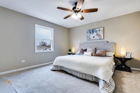 3100 Art Schultz Dr, Plainfield, IL 60586 photo 20