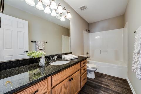 2700 Cedar Breaks Ct, Plainfield, IL 60586 photo 23