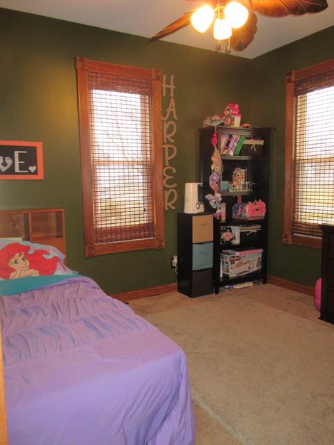 303 N Front St, Danforth, IL 60930 photo 21