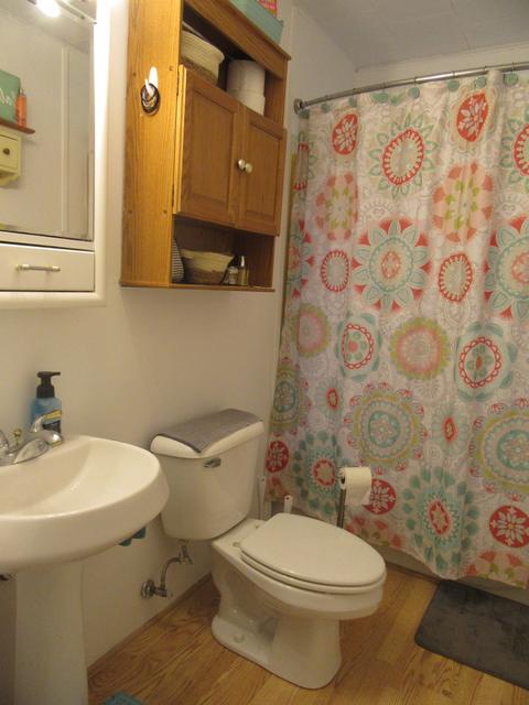 303 N Front St, Danforth, IL 60930 photo 23