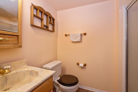 394 Shiloh Ln, Elgin, IL 60120 photo 9
