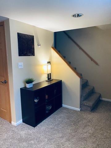 2721 E 96th Pl, Chicago, IL 60617 photo 8