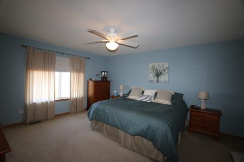 1207 Alene Dr, Plainfield, IL 60586 photo 15