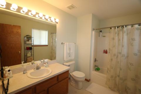 1207 Alene Dr, Plainfield, IL 60586 photo 18