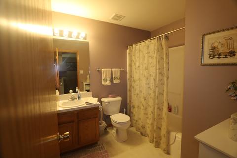 1207 Alene Dr, Plainfield, IL 60586 photo 23