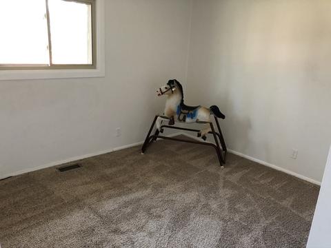 2605 Hyde Park Ave, Holiday Hills, IL 60051 photo 13