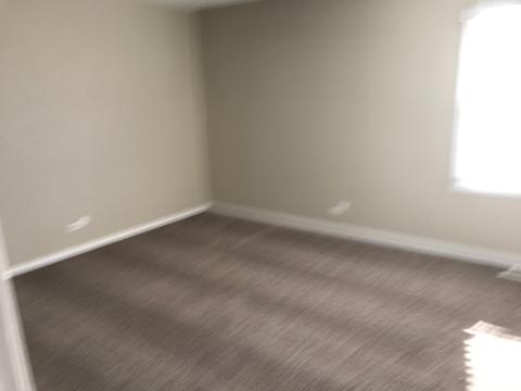 751 Dunmore Ln, Bartlett, IL 60103 photo 13