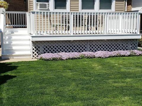 1411 Maple Ave, Berwyn, IL 60402 photo 2