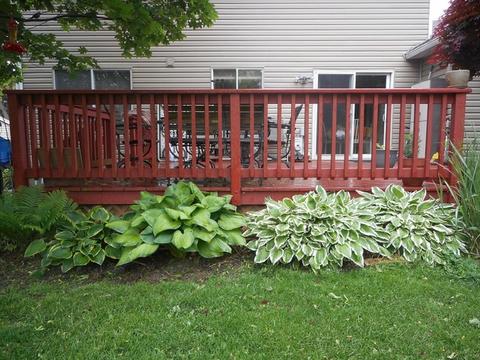 1021 Fall Cir, Roselle, IL 60172 photo 51