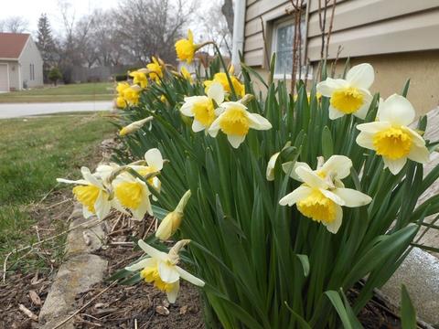 1021 Fall Cir, Roselle, IL 60172 photo 54