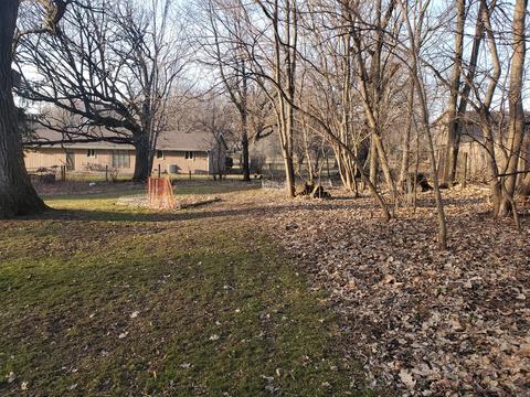 8758 Rainier Ct, Byron, IL 61010 photo 9