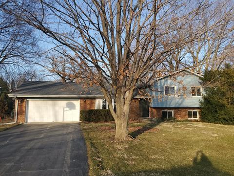 8758 Rainier Ct, Byron, IL 61010 photo 1