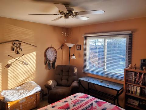 8758 Rainier Ct, Byron, IL 61010 photo 29