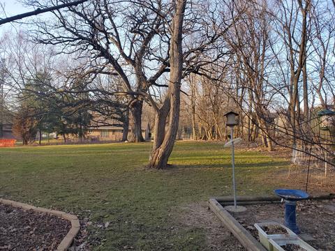 8758 Rainier Ct, Byron, IL 61010 photo 7