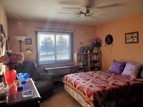 8758 Rainier Ct, Byron, IL 61010 photo 28